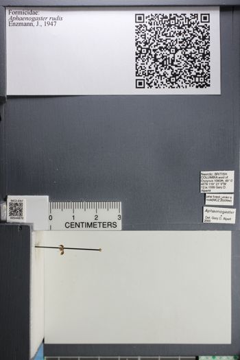 Media type: image;   Entomology 544870